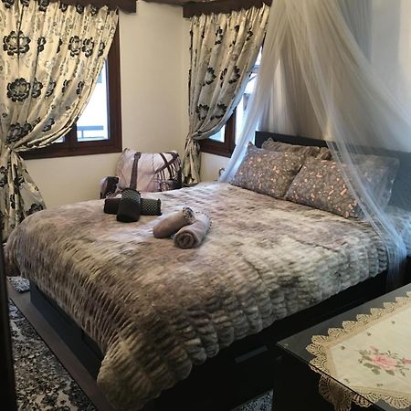 Agapi'S House Διαμέρισμα Μέτσοβο Εξωτερικό φωτογραφία