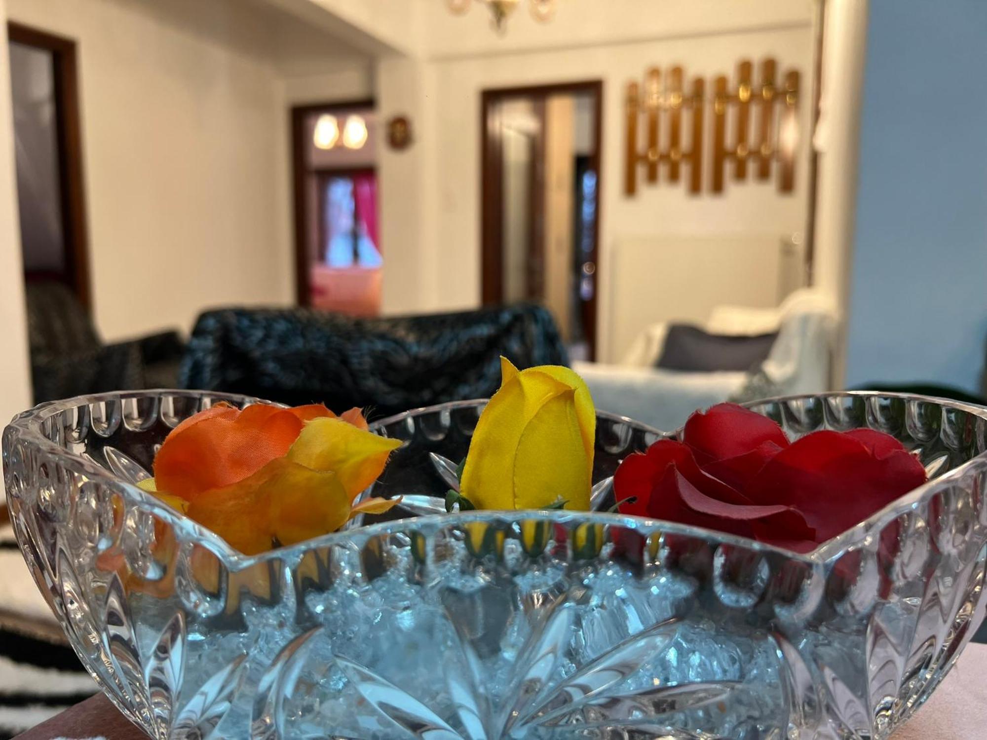 Agapi'S House Διαμέρισμα Μέτσοβο Εξωτερικό φωτογραφία