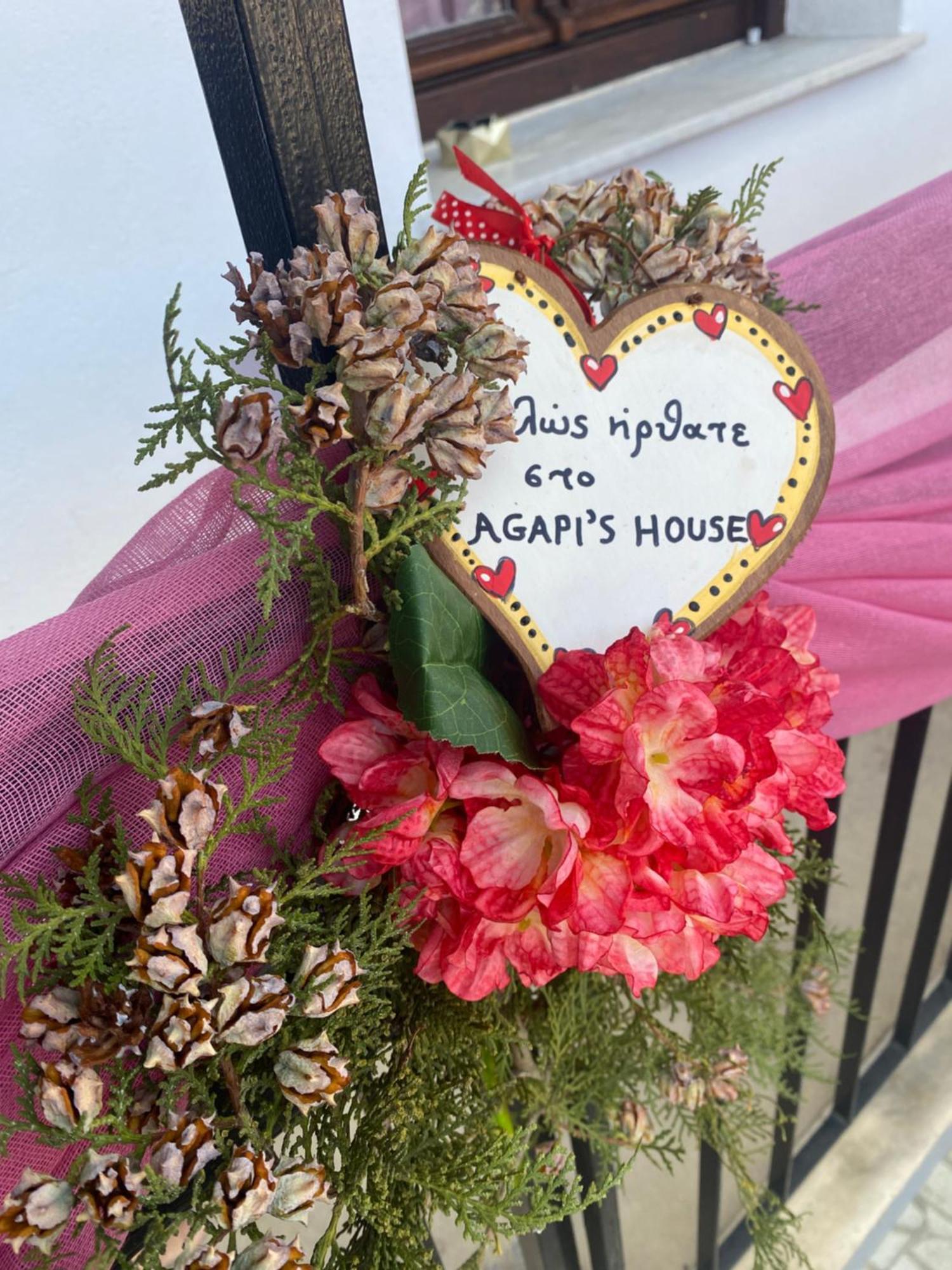 Agapi'S House Διαμέρισμα Μέτσοβο Εξωτερικό φωτογραφία